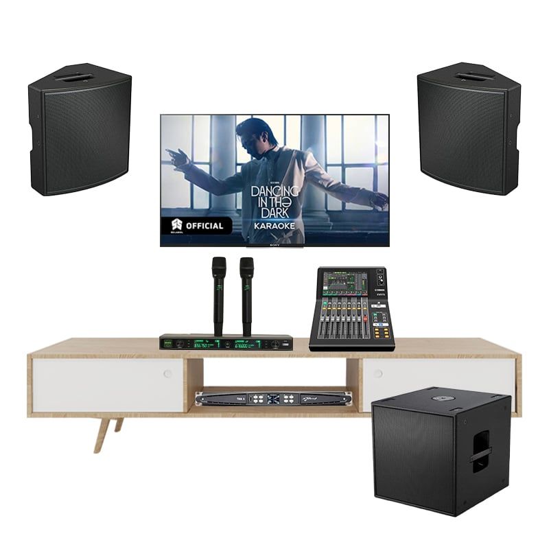 bo-am-thanh-karaoke-cao-cap-bose-amm112-tva562025