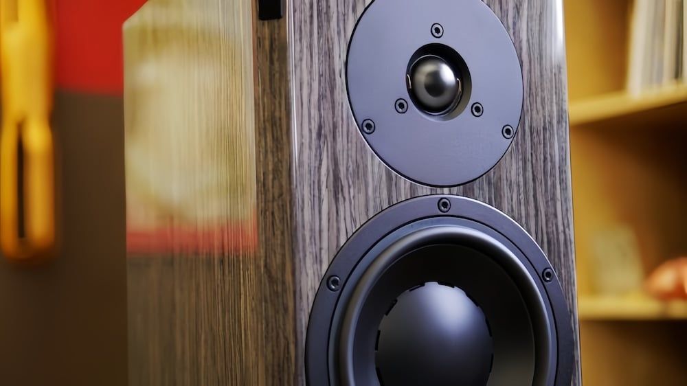 can canh loa dynaudio focus 30 xd chinh hang