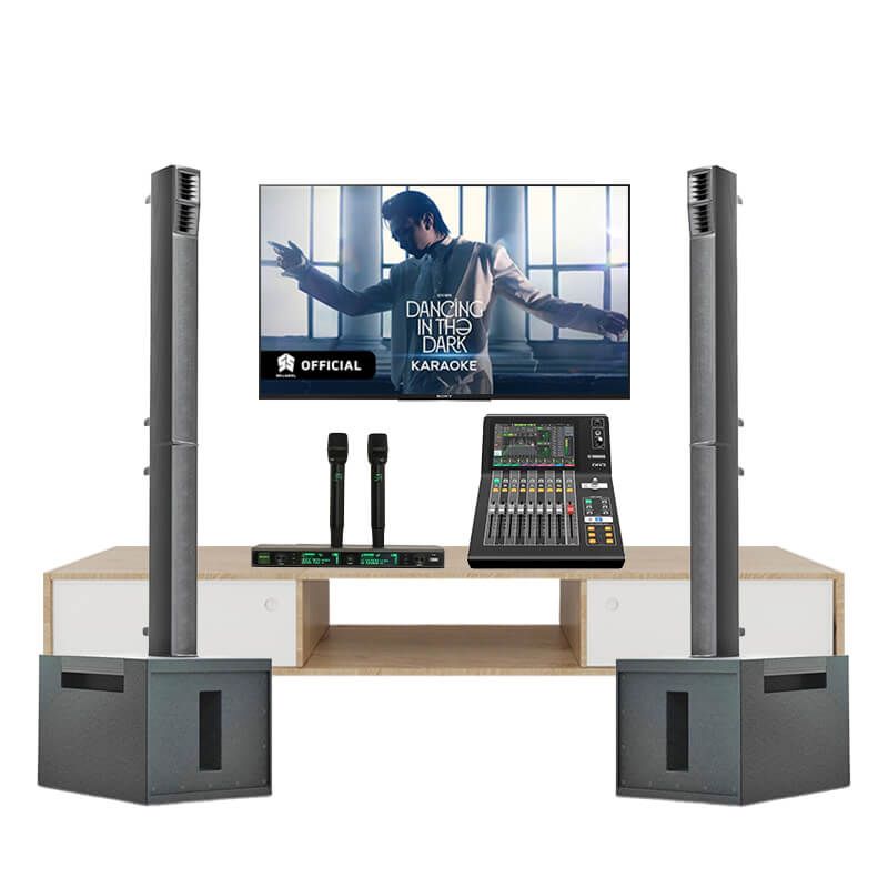 dan-am-thanh-karaoke-SE-Audiotechnik-M-A8-TVA712025