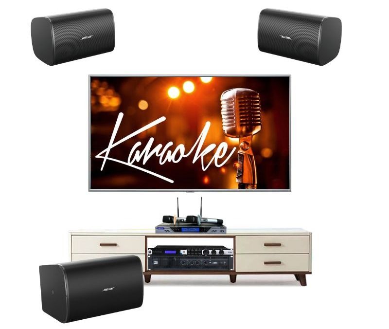 dan-am-thanh-karaoke-bose-tai-phuong-long-binh--tva1212024