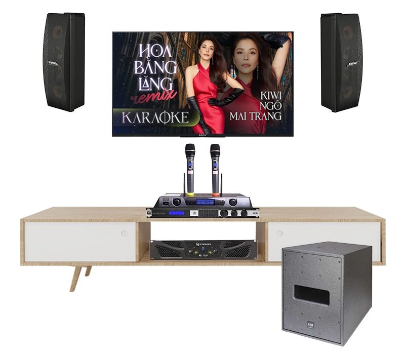 dan-am-thanh-karaoke-bose-tai-phuong-long-binh-TVA032025