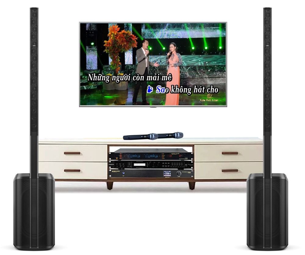 dan-am-thanh-karaoke-bose-tai-phuong-long-binh-tva132022