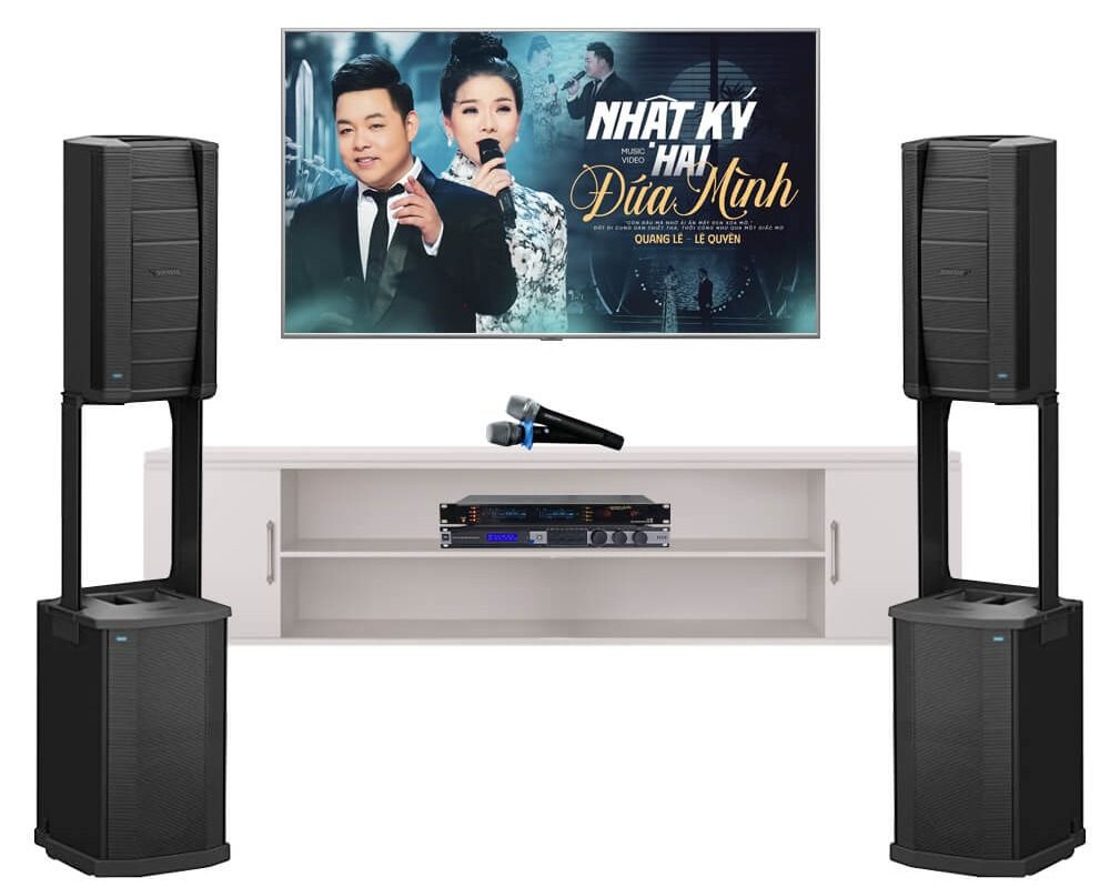 dan-am-thanh-karaoke-bose-tai-phuong-long-binh