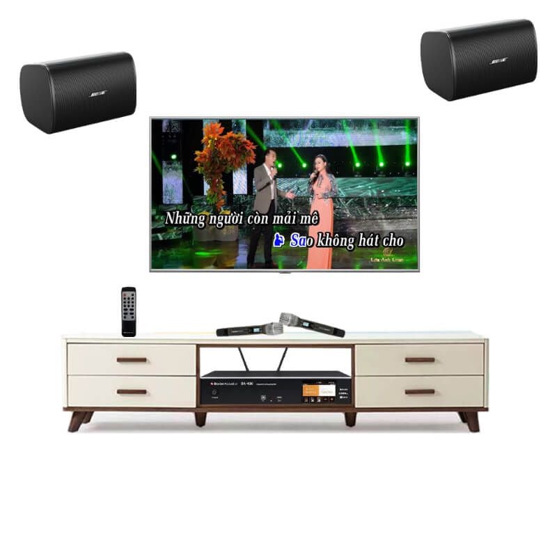 dan-karaoke-30-trieu-bose-designmax-dm6s-cao-cap