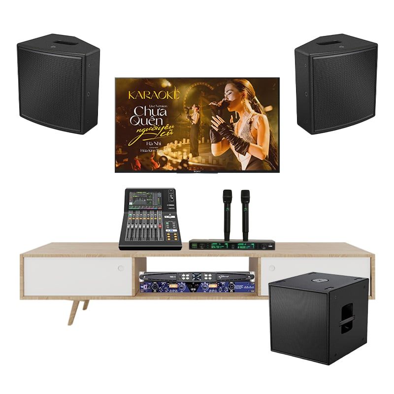 dan-karaoke-cao-cap-bose-amm108-multipurpose-tva1272025-cong-suat-manh