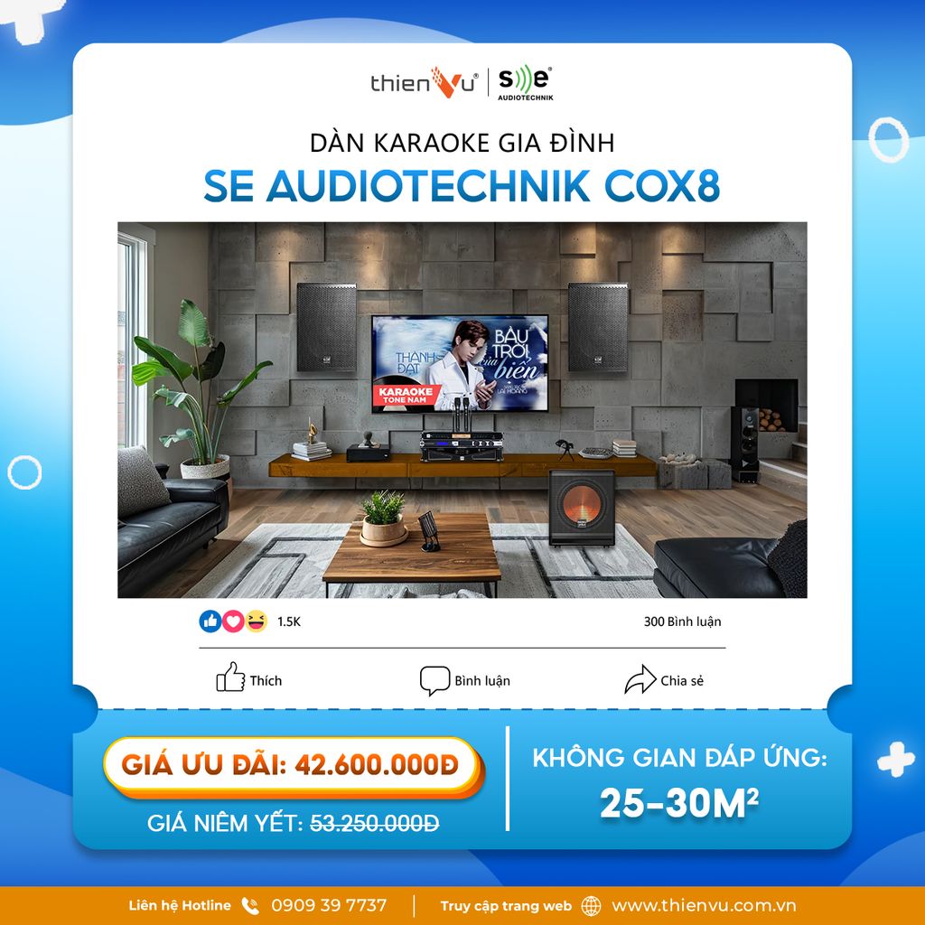 dan-karaoke-tai-phuong-binh-thoi-cox8