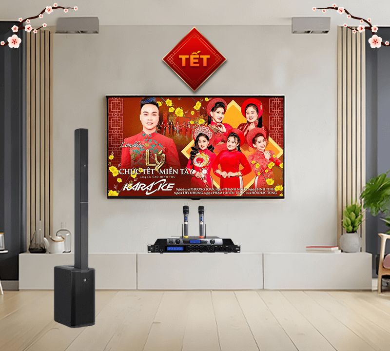 dan-karaoke-tet-ld-system-maui-11g3