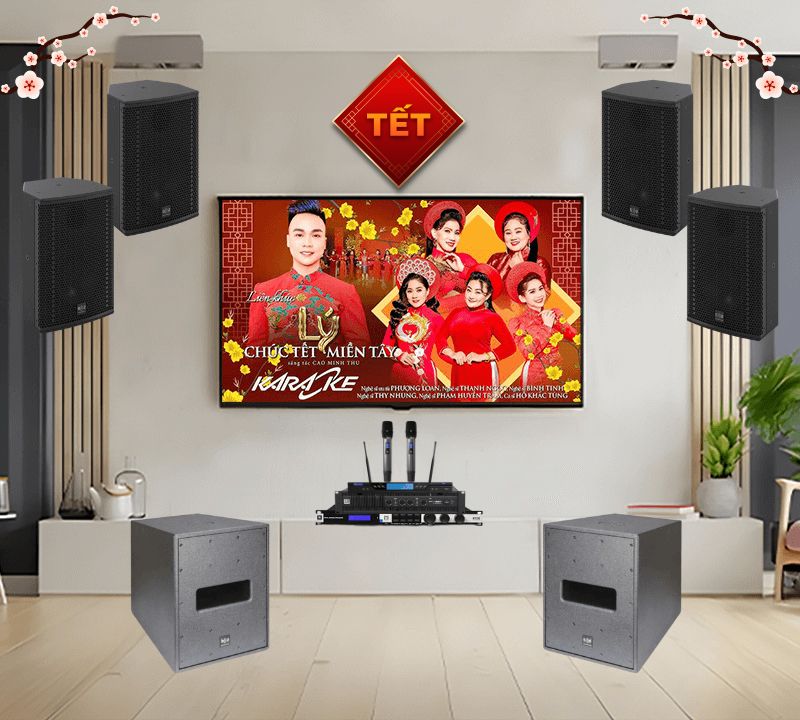 dan-karaoke-tet-se-audiotechnik-cox8-mk2