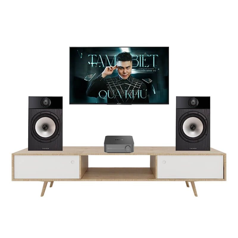 dan-nghe-nhac-fyne-audio-f300I-194tv-chinh-hang-thien-vu