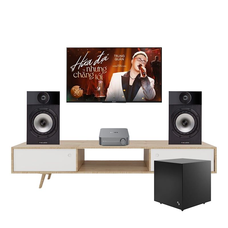 dan-nghe-nhac-fyne-audio-f300i-225tv