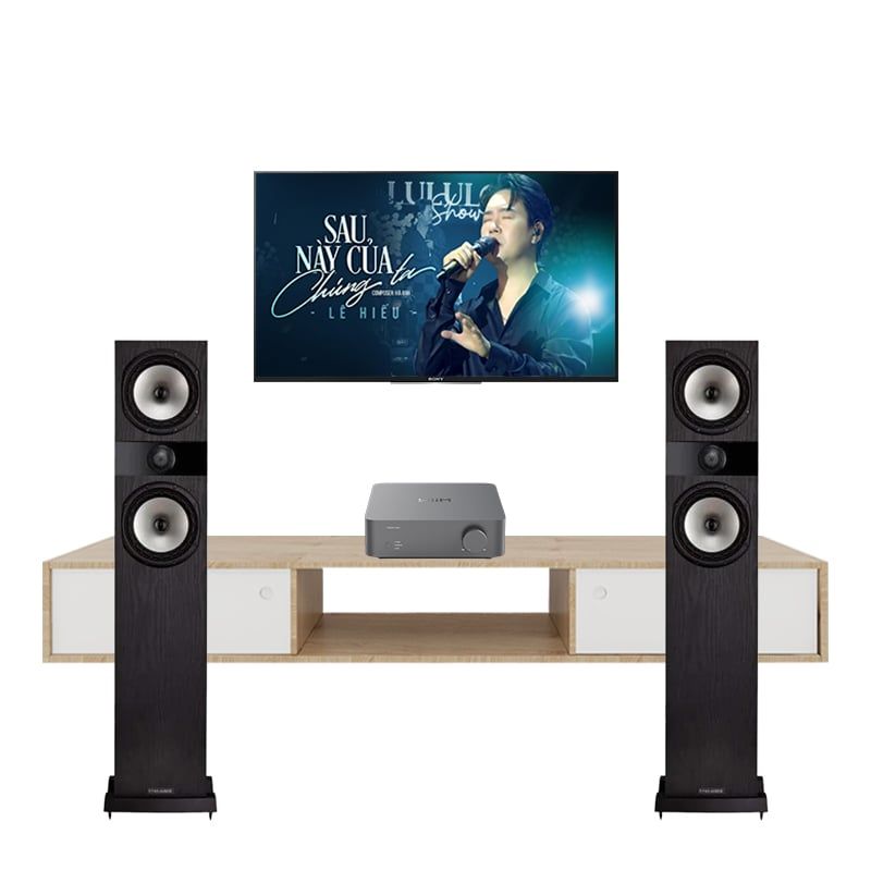 Dan-nghe-nhac-Fyne-Audio-F303i-Wiim-Vibelink-Amp-NN722026
