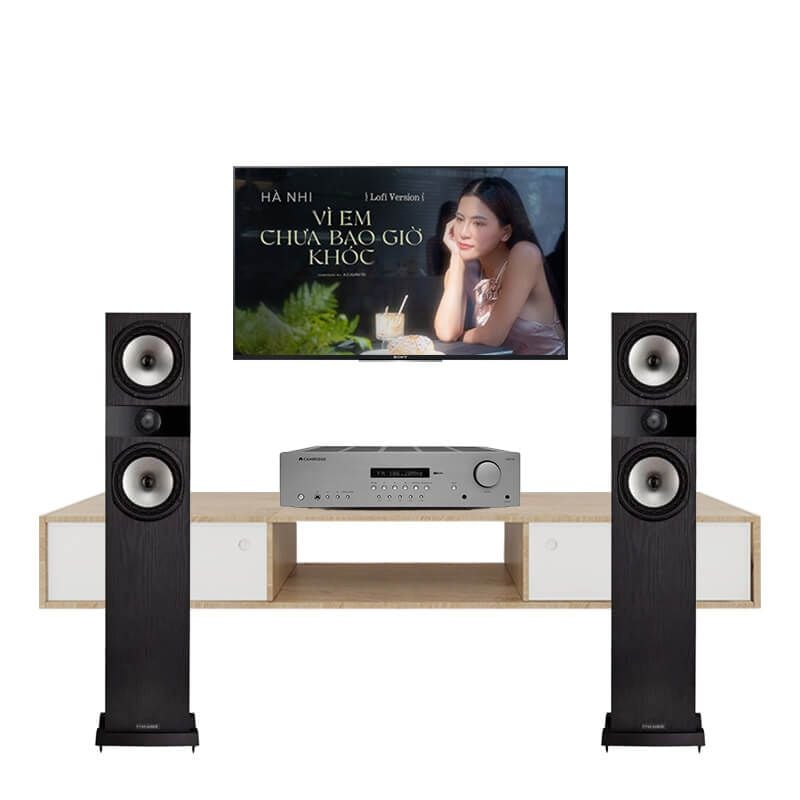 dan-thiet-bi-nghe-nhac-fyne-cambridge-audio-axr100