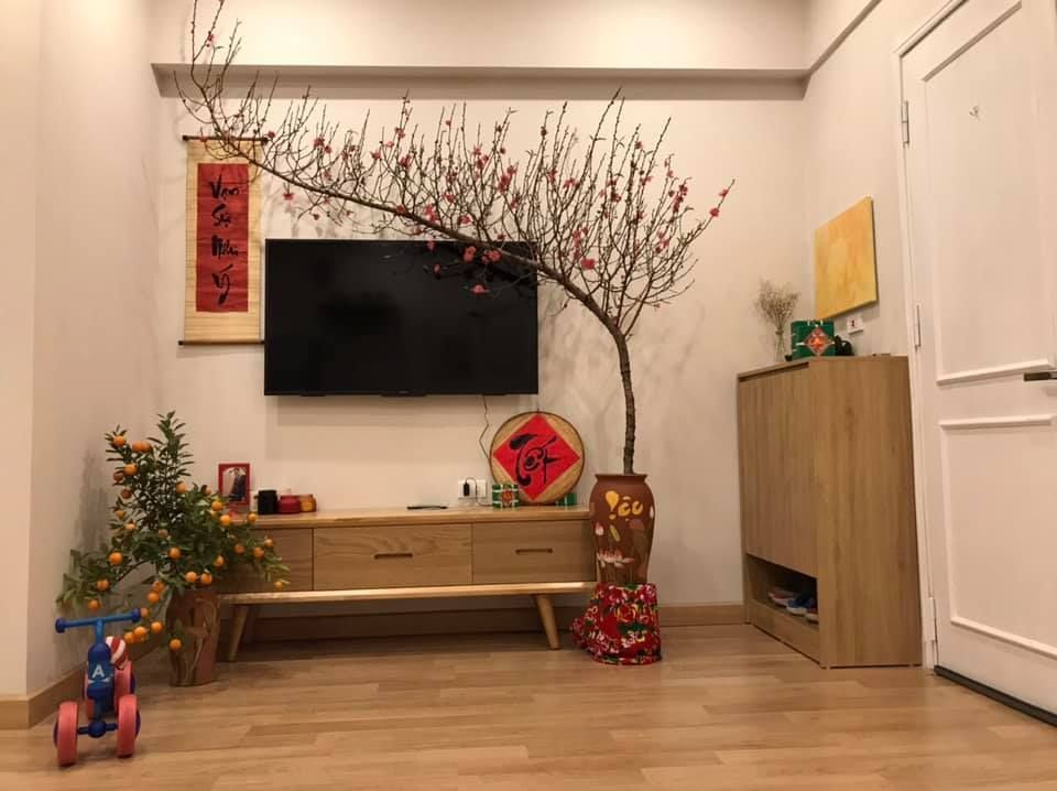decor-phong-khach-tet-don-gian-dep-mat