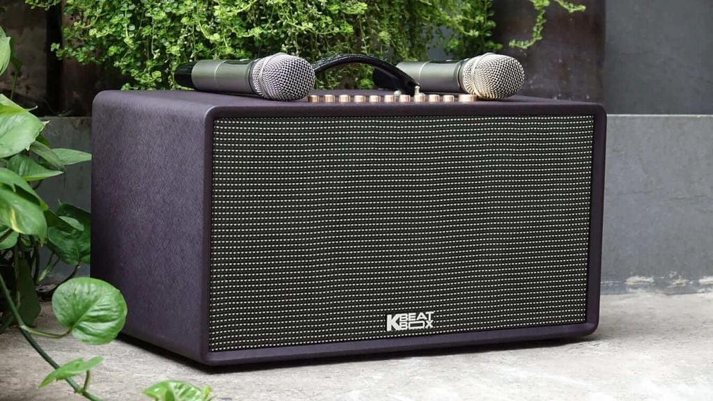 flac36-acnos-loa-karaoke-di-dong-bluetooth