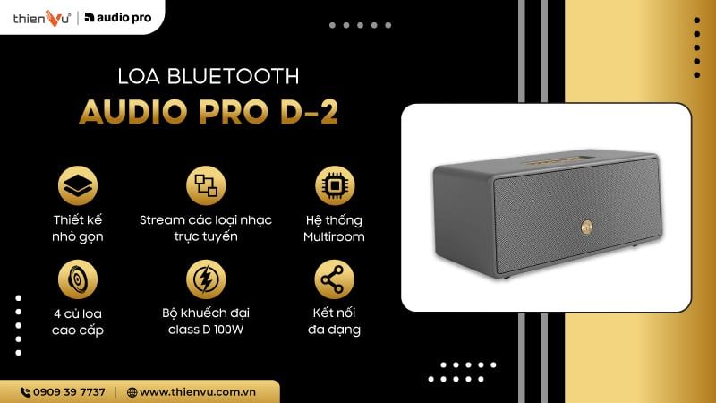 loa-audio-pro-d-2-chinh-hang