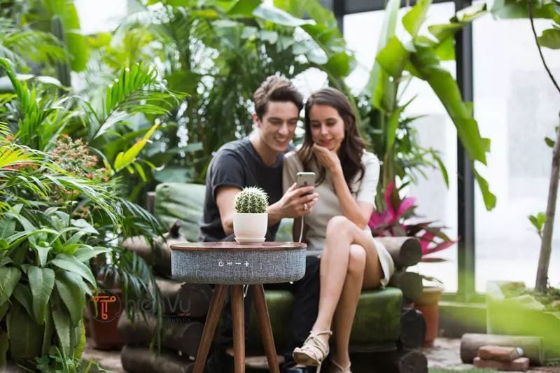 loa bàn sân vườn