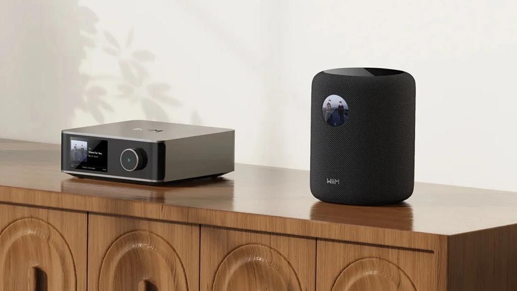 loa-bluetooth-wiim-sound
