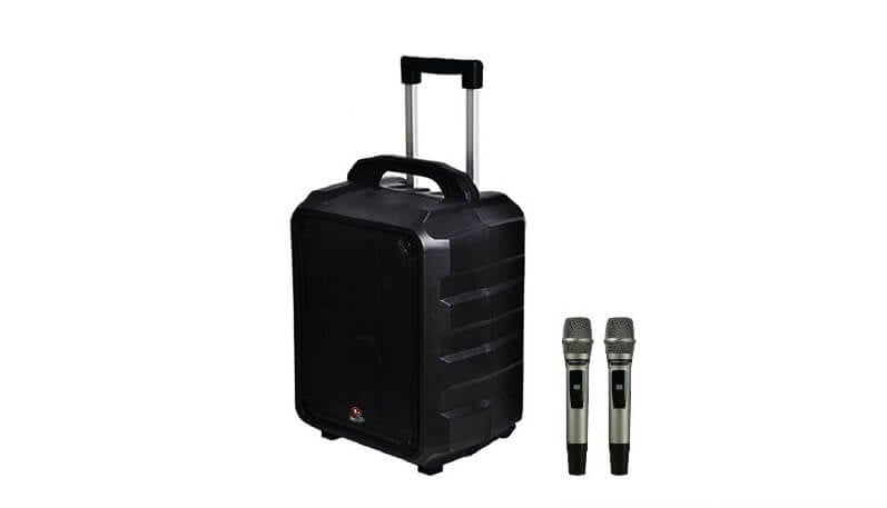 loa-boston-acoustic-h10p-cao-cap