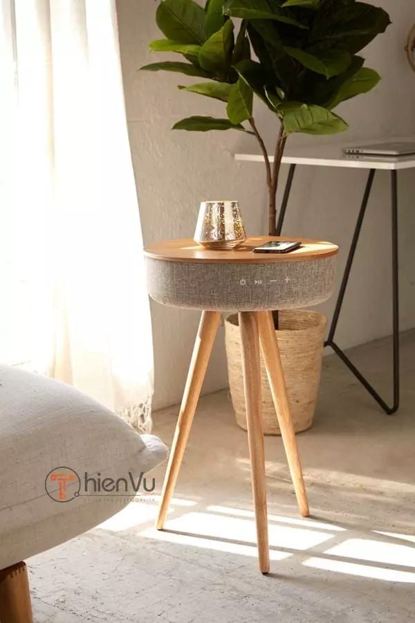 loa di động bàn tối giản