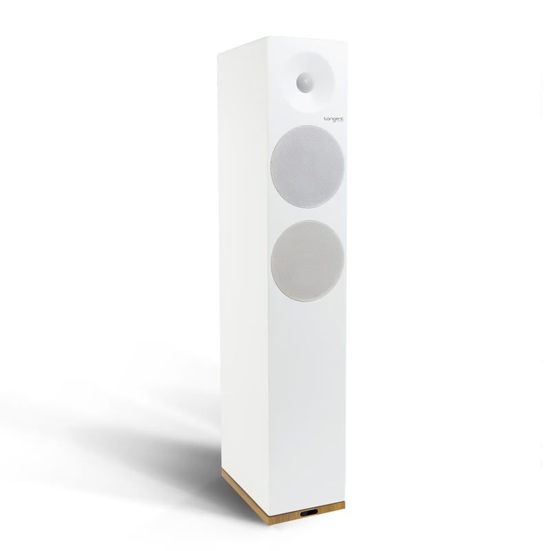 loa-floorstander-tangent-audio-spectrum-x6-chinh-hang