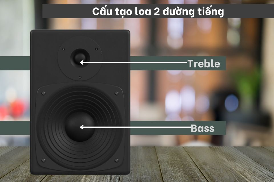 loa-hai-duong-tieng-la-gi