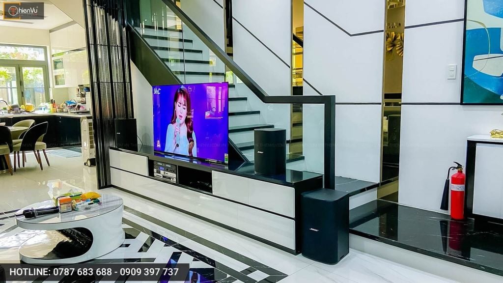 loa-karake-bose-dm10s-sub-thien-vu-audio