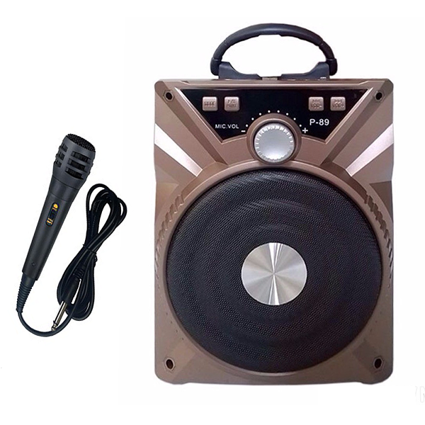 loa bluetooth hat karaoke P89 ban chay