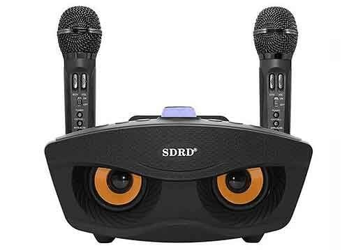 loa-karaoke-bluetooth-sdrd-sd-306-kem-2-micro-khong-day
