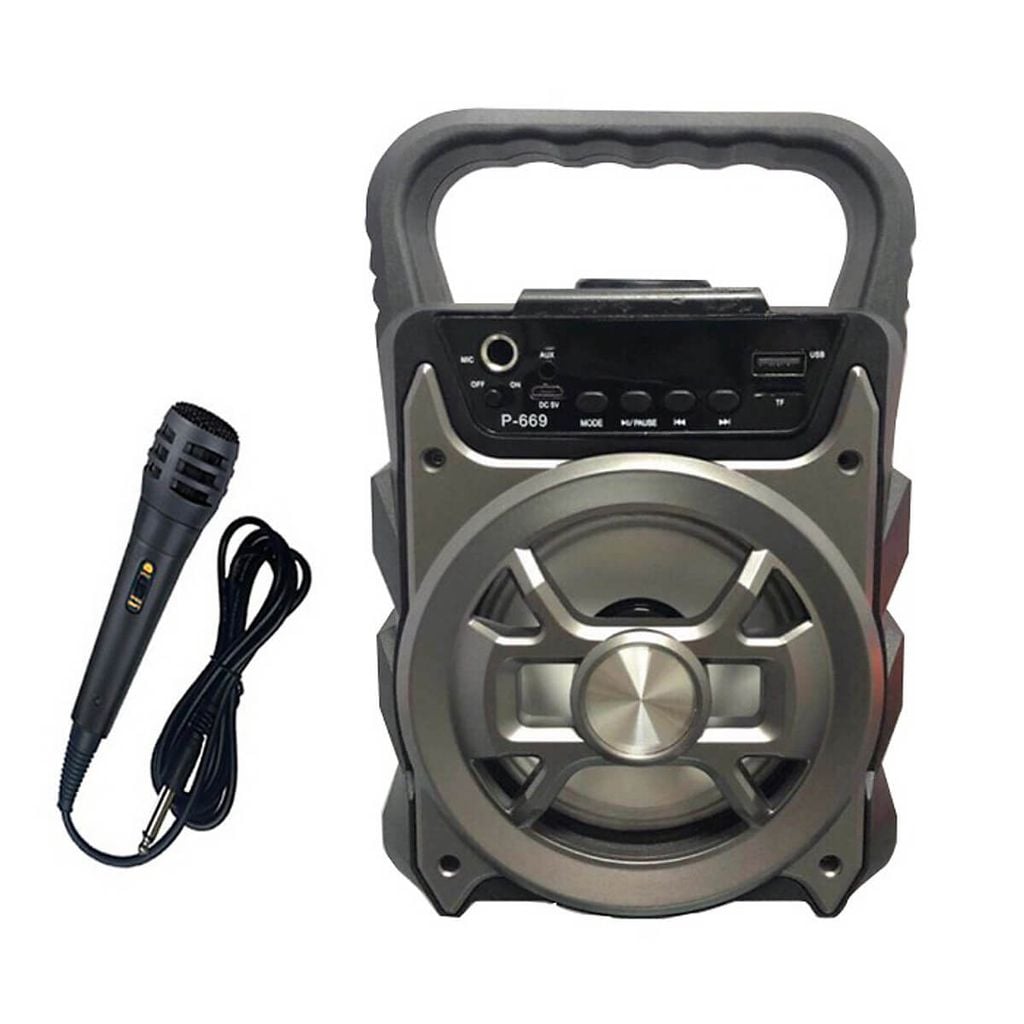 loa-karaoke-cam-tay-p668