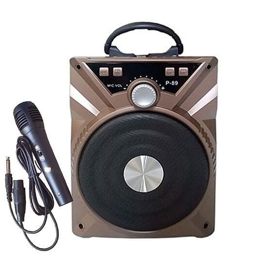 loa-karaoke-cam-tay-p89