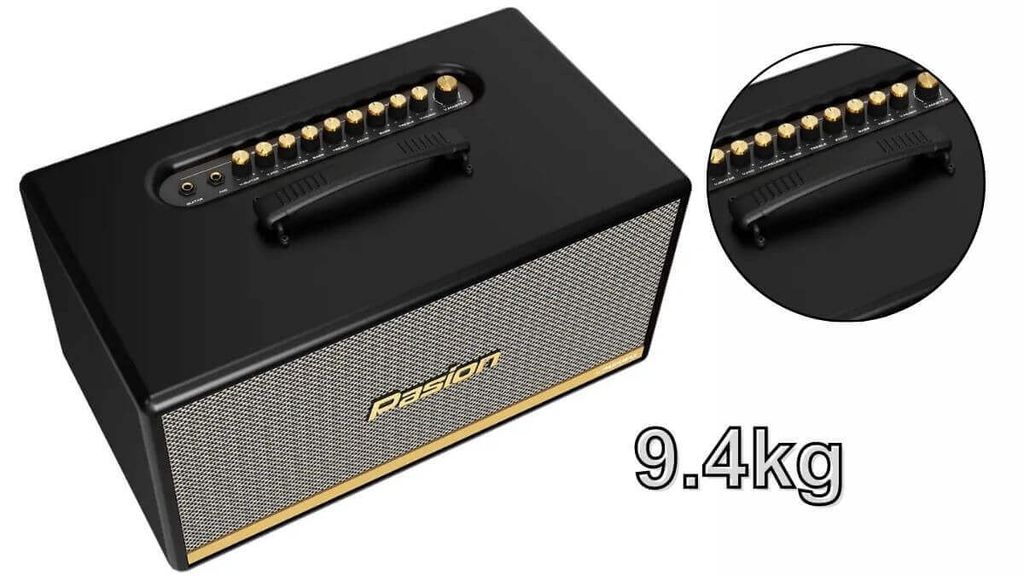 loa-karaoke-di-dong-paramax-pasion-2c-gia-tot