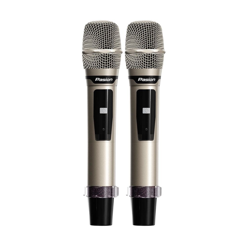 loa-karaoke-di-dong-paramax-pasion-enzo-gia-tot-nhat