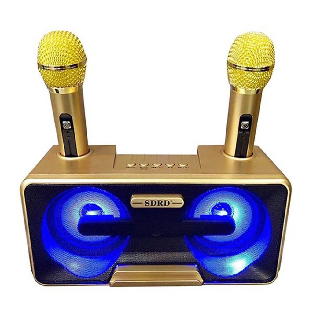 loa-karaoke-mini-sdrd-sd301