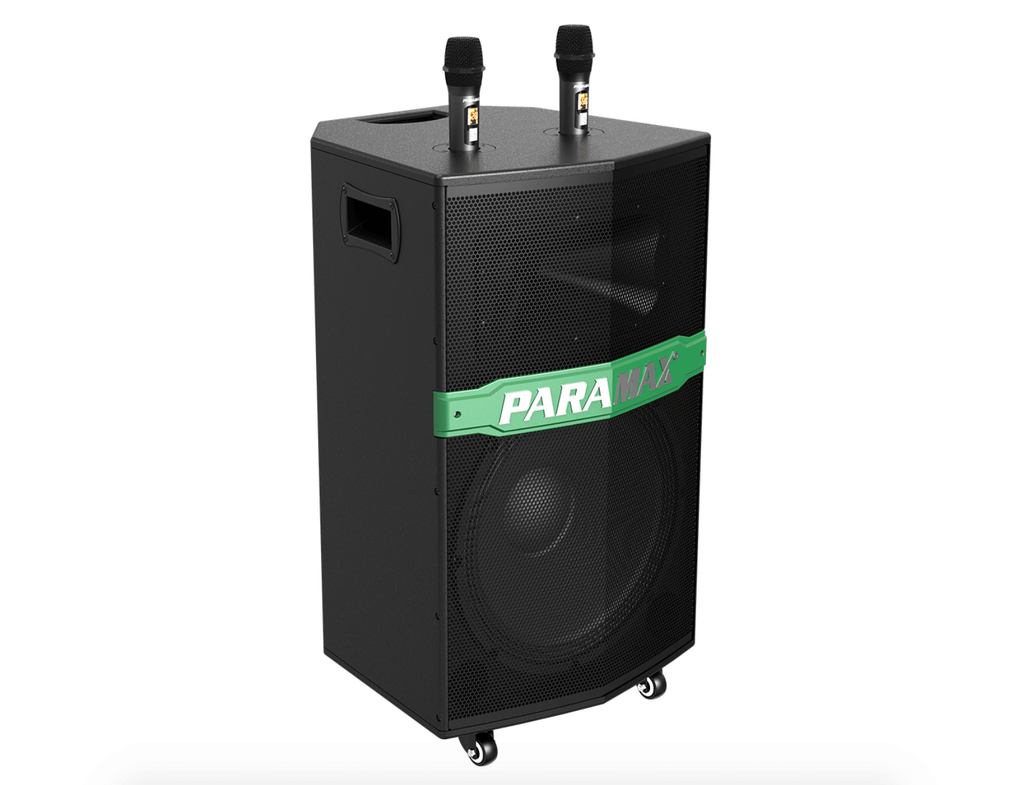 loa-karaoke-paramax-go-300-chinh-hang