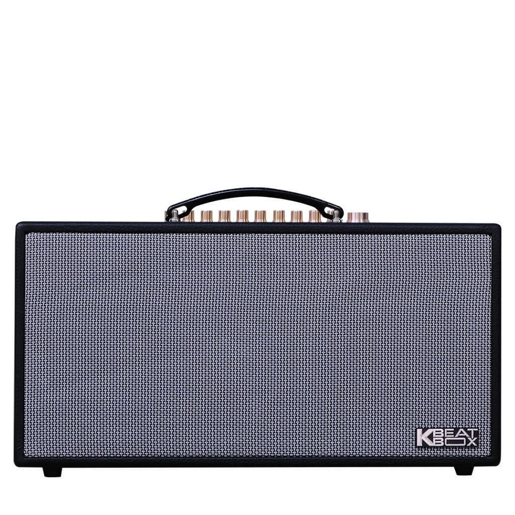 loa-karaoke-xach-tay-acnos-cs450alpha-chinh-hang