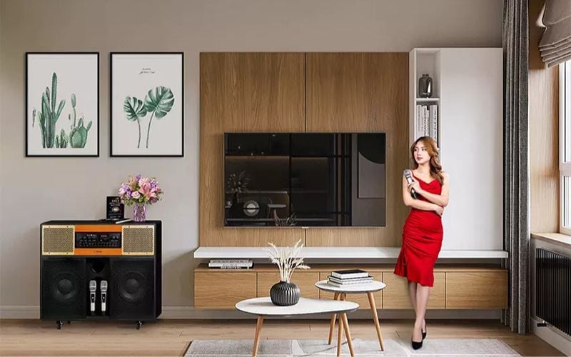 loa-keo-karaoke-Home-Station-10