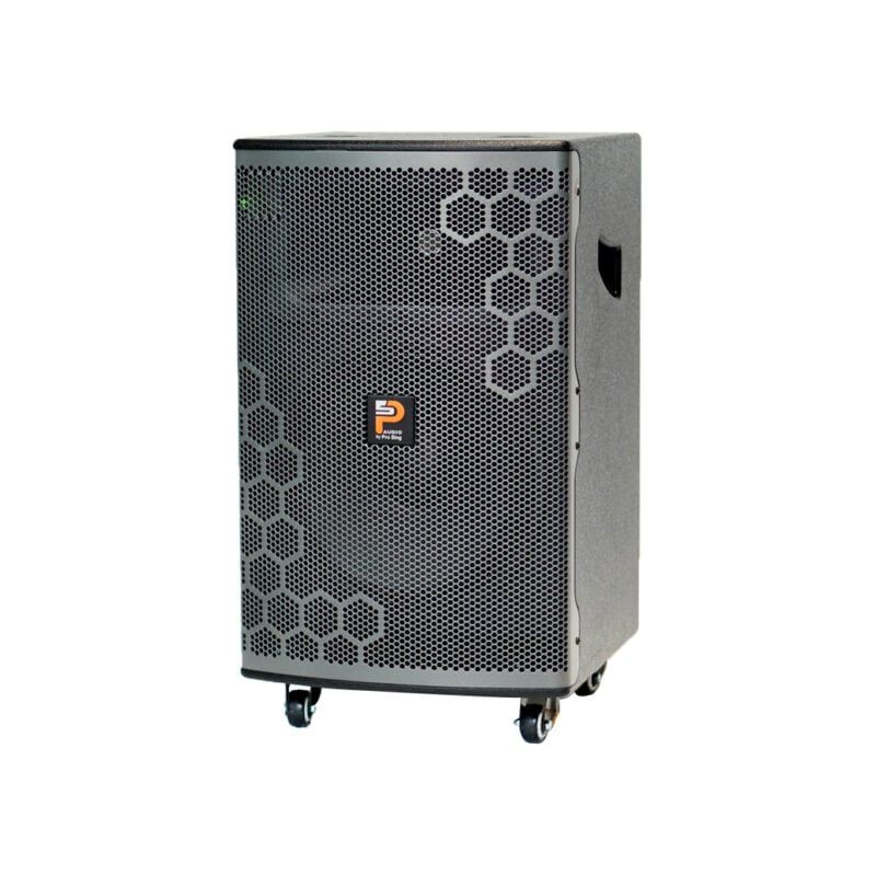 loa-keo-prosing-w12-bee-chinh-hang