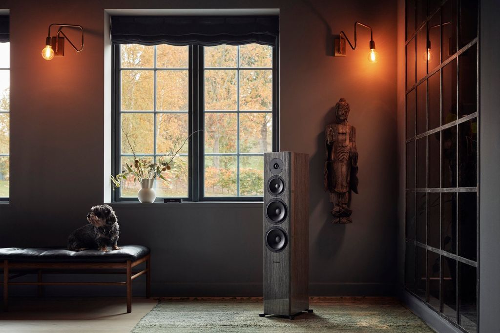 loa nghe nhac hi end dynaudio focus 60 xd