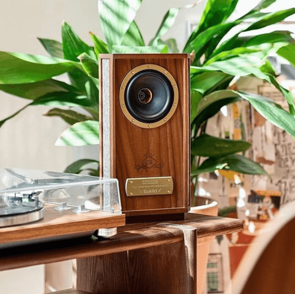 loa nghe nhac hifi tannoy autograph mini