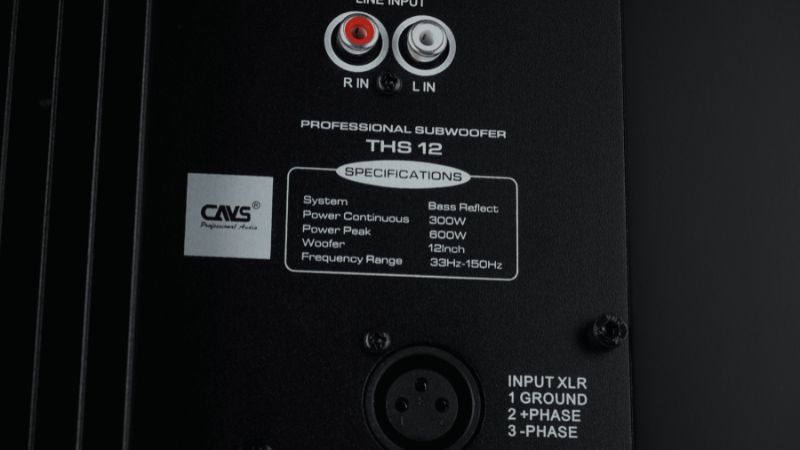 loa-sub-CAVS-THS12-Version-2-am-bass-sau