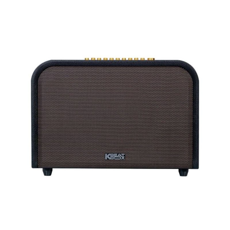 loa-xach-tay-Acnos-Acoustic-3