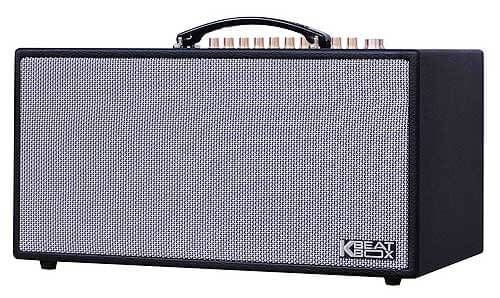 loa-xach-tay-acnos-cs450-cao-cap
