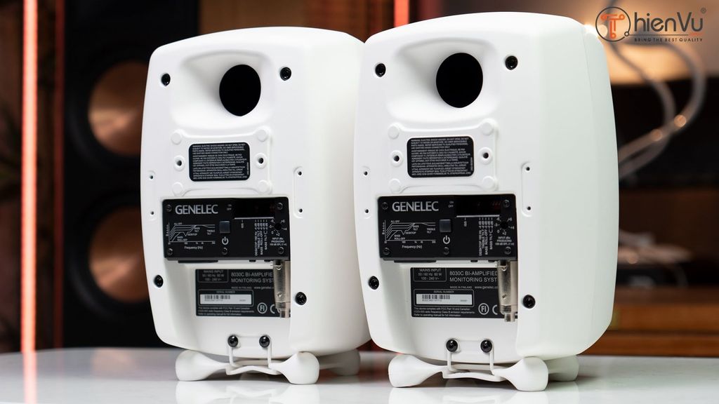 Chi tiet mat sau loa genelec 8030CW