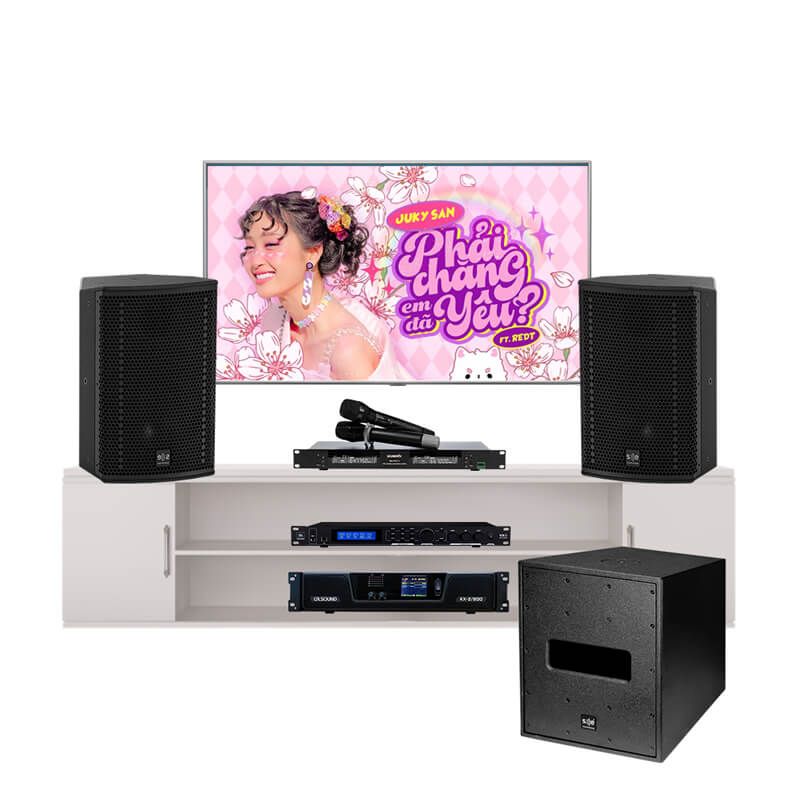 mua-dan-karaoke-se-cox8-mkii-gia-tot