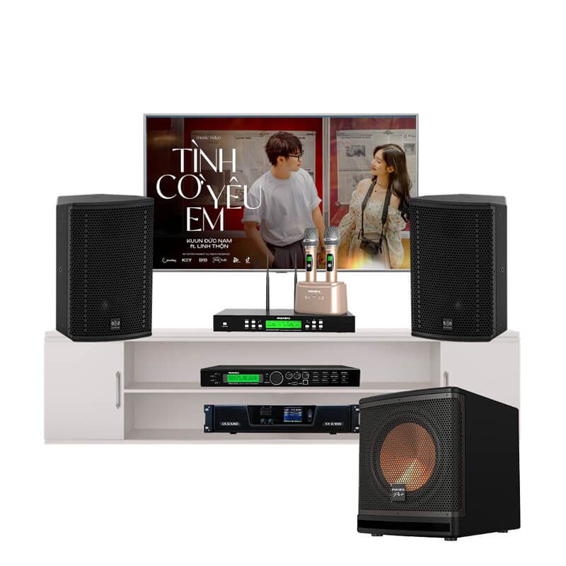 mua-dan-karaoke-se-gia-dinh