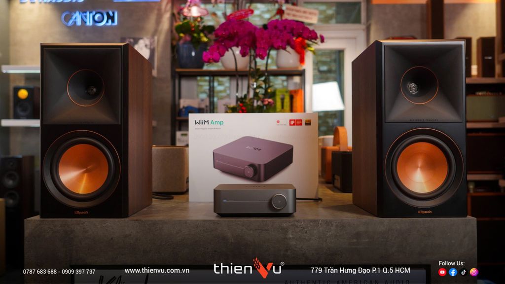 mua-dau-phat-nhac-streaming-wiim-amp-tai-tphcm