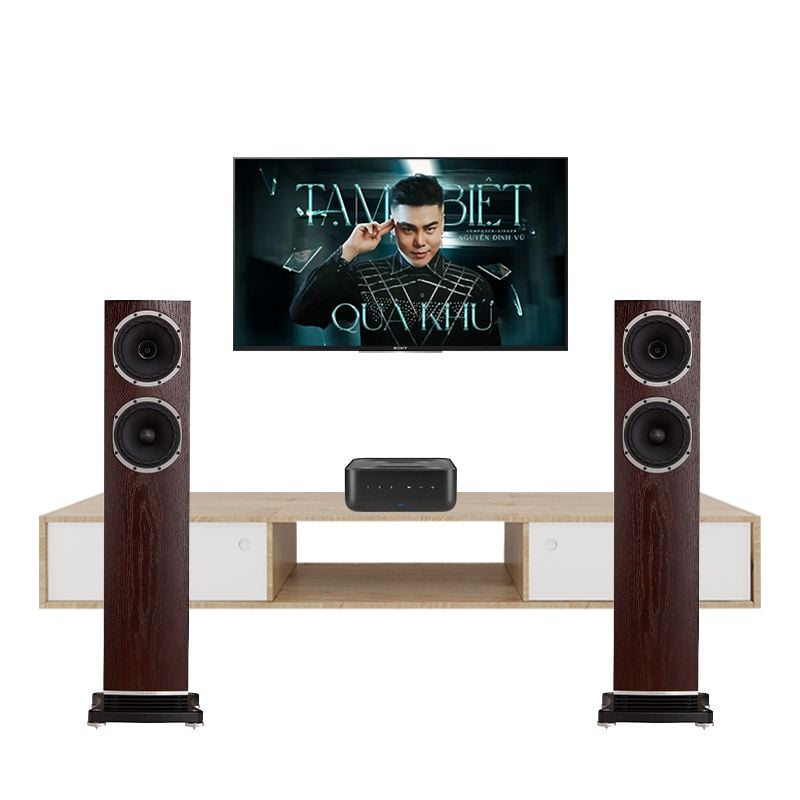 noi-mua-dan-nghe-nhac-fyne-audio-f501-gia-tot