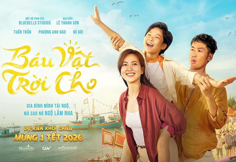 phim-tet-bau-vat-troi-cho