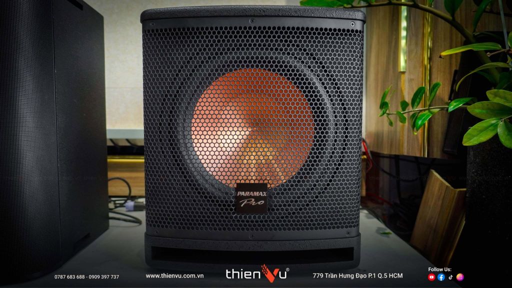 subwoofer-paramax-sub-a30-gia-tot