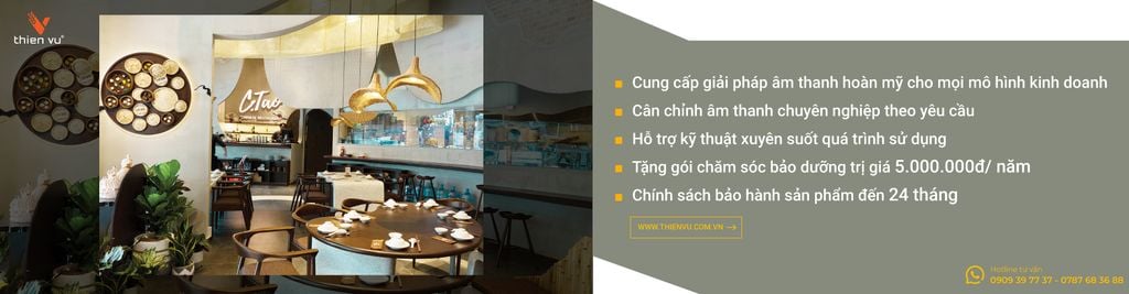 thien-vu-audio-giai-phap-am-thanh-chuyen-nghiep